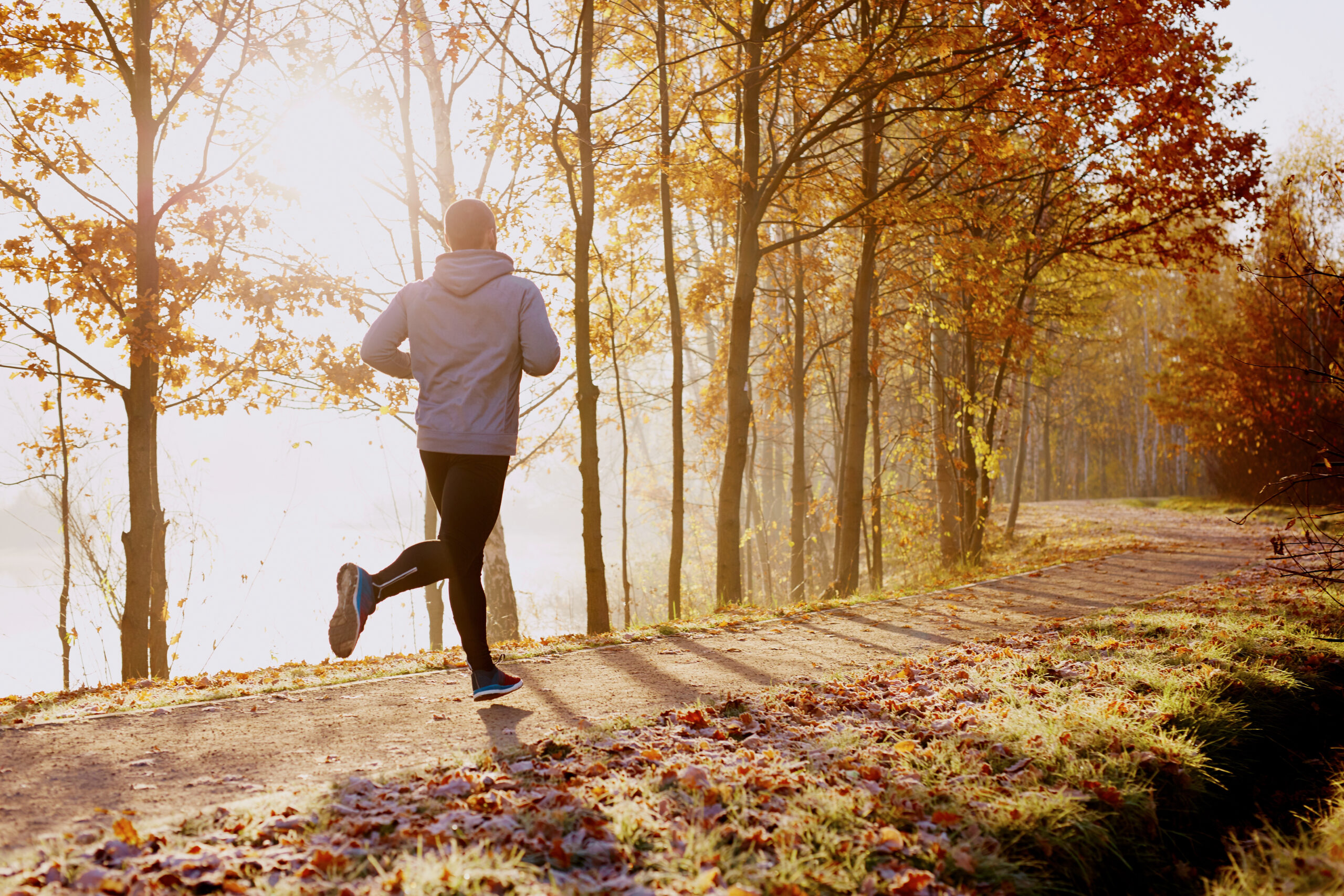 Magnesium für Sportler Junger Mann Joggt bei Sonnenuntergang im Wald